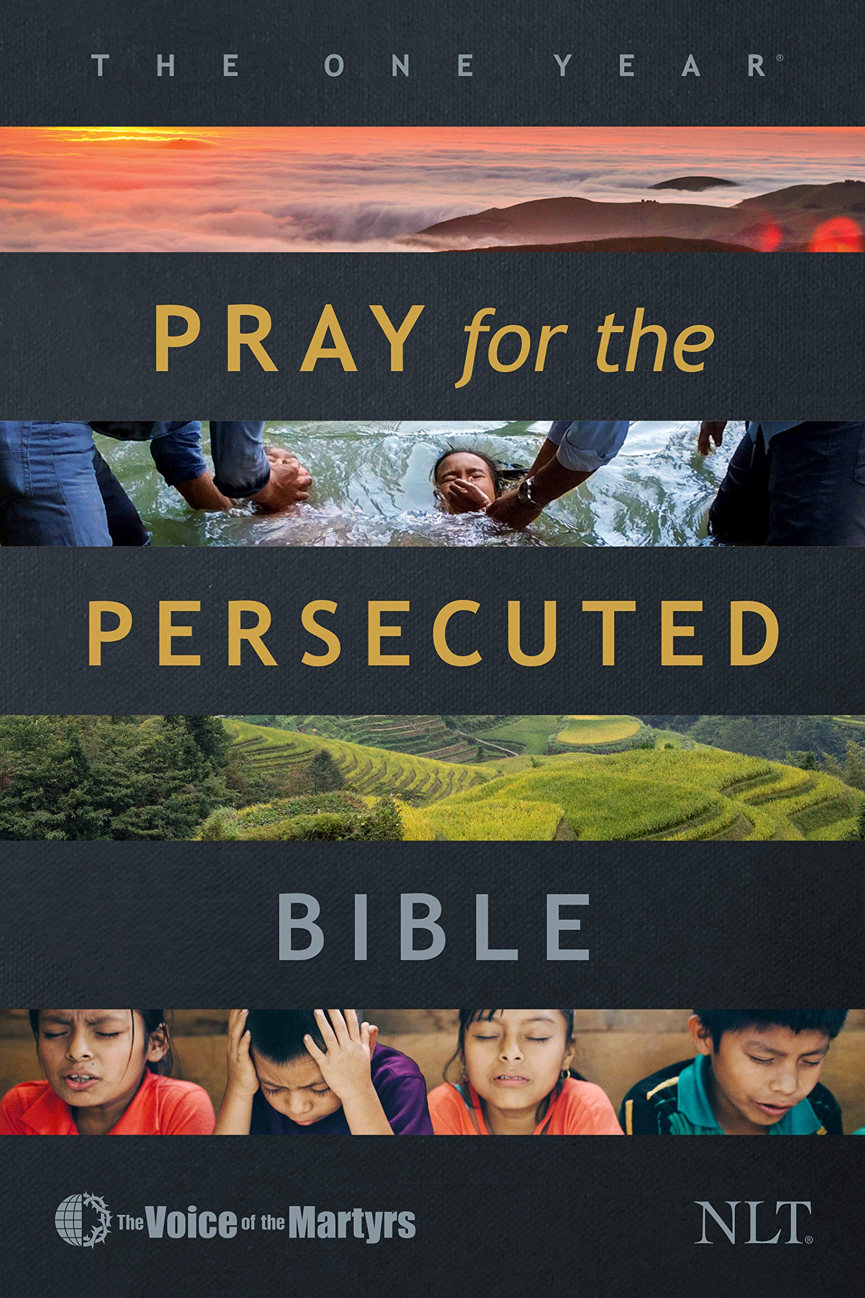 The One Year Pray for the Persecuted Bible NLT (Softcover) The One Year Pray for the Persecuted Bible NLT (Softcover) Paperback Kindle Hardcover