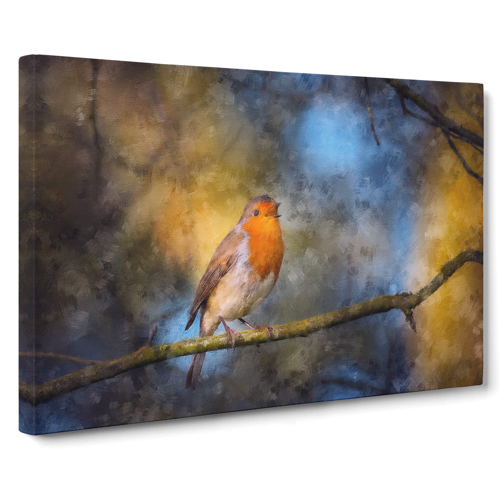 Robin Bird In A Tree Canvas Print | Gallery Wrapped 30mm Frame Wall Art | 20x14 inches | Ready to Hang | Modern Animals Picture | Living Room Bedroom Lounge Office