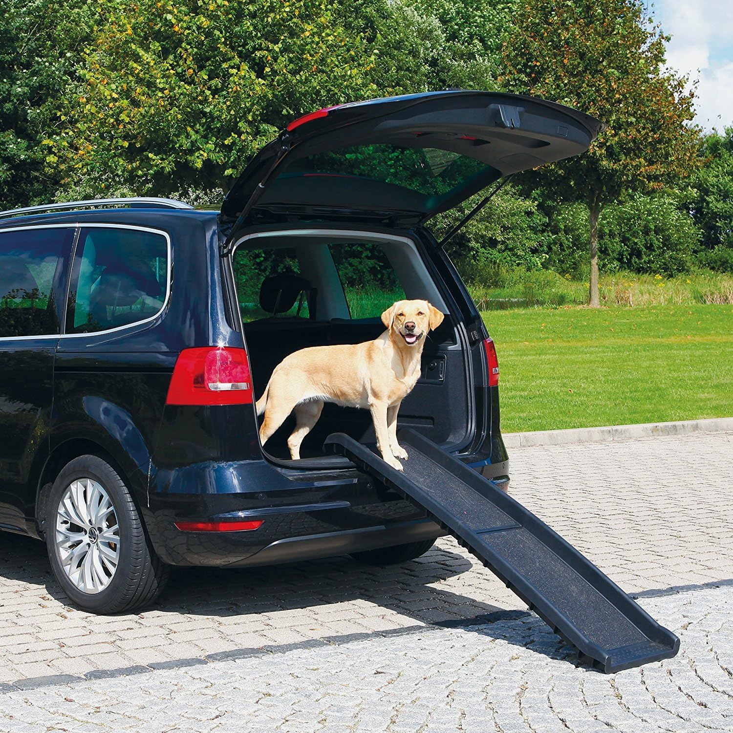 All for Paws Large Dog Car Ramp Foldable Dog Safety Ramp for SUVs, Trucks, 62 Inch