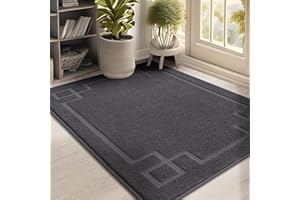 BEQHAUSE Door Mat 32" x 48", Non-Slip Door Mats Indoor Entryway Rugs Washable Low-Profile Absorbent and Stain Resist Floor Mats, Dog Door Mat for Front Back Door, Muddy Wet Shoes & Paws, Dark Grey