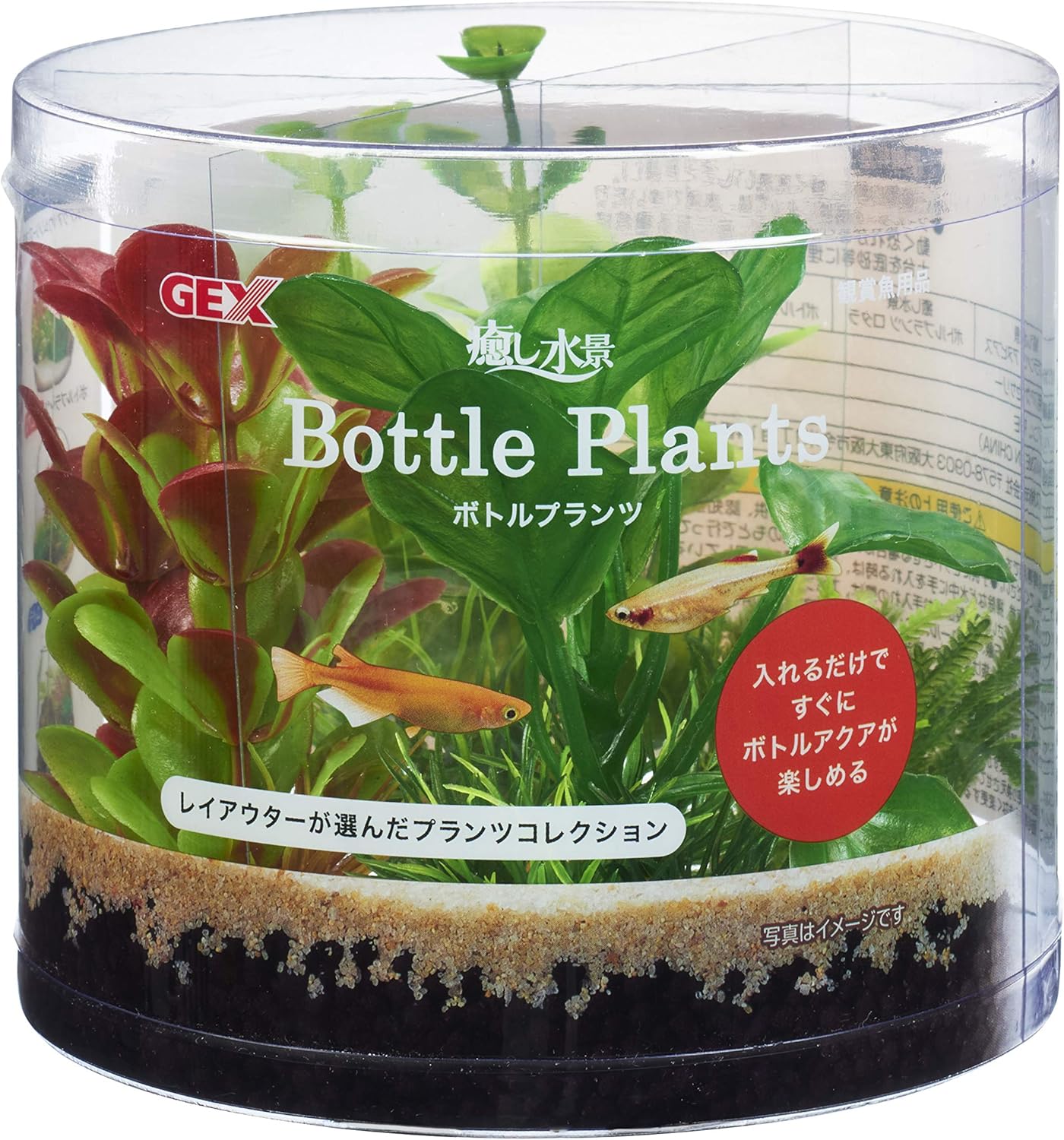 Amazon ジェックス 癒し水景 ボトルプランツ アヌビアス ジェックス ペット用品 通販