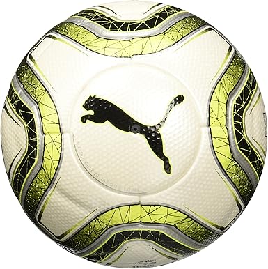 puma final 1 statement