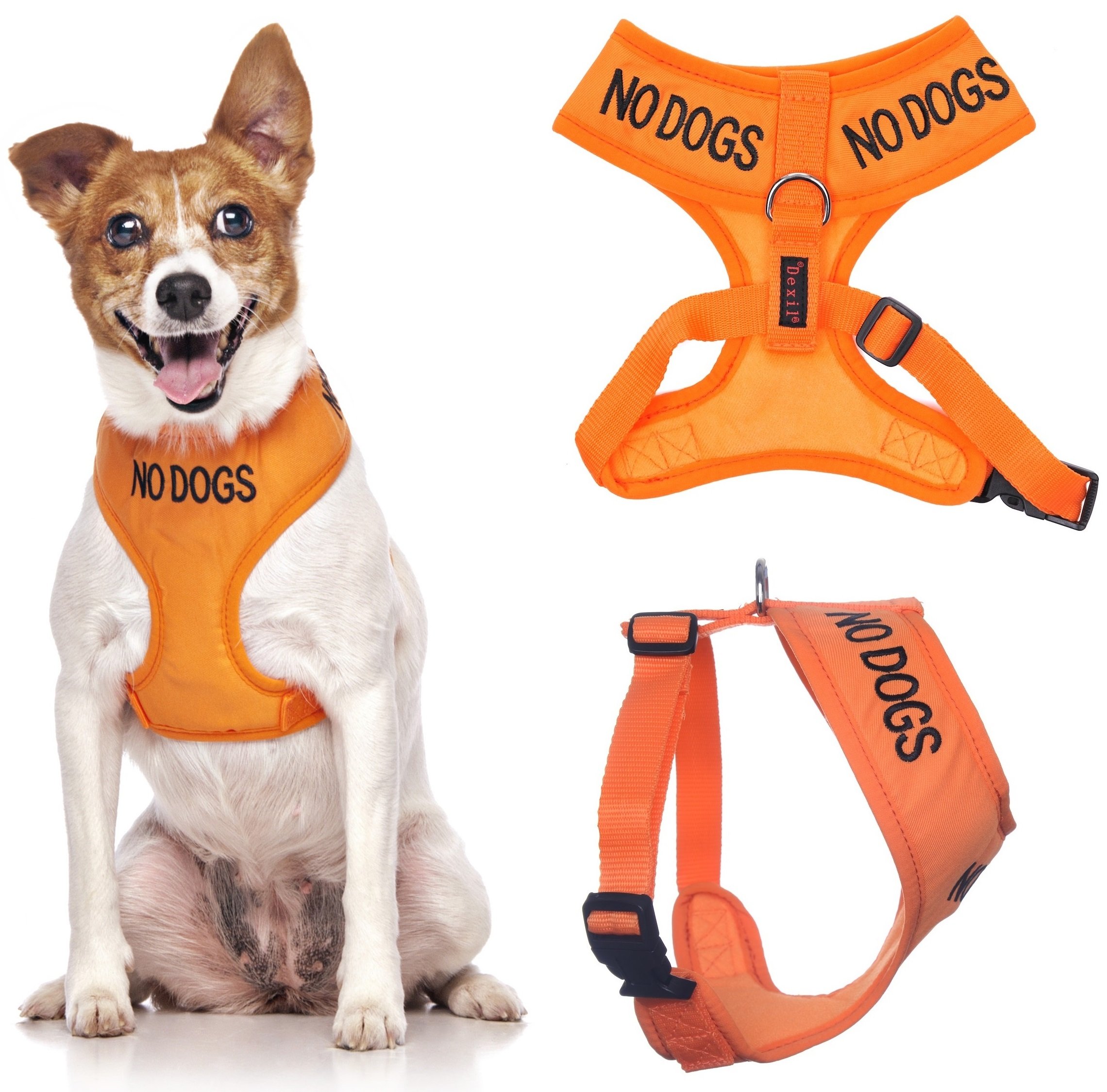 NO DOGS (Not good with other dogs) Orange Colour Coded Non-Pull Front and Back D Ring Padded and Waterproof Vest Dog Harness PREVENTS Accidents By Warning Others Of Your Dog In Advance (XS) โ image 1