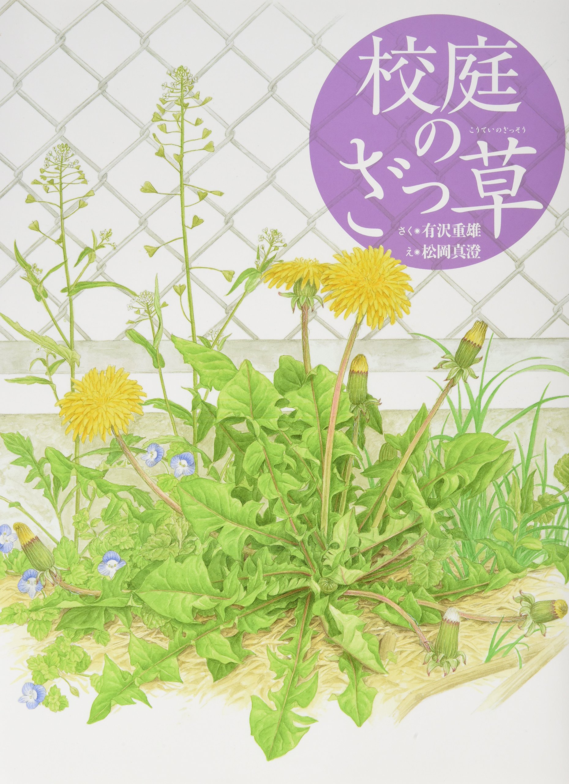 校庭のざっ草 福音館の科学シリーズ 有沢 重雄 真澄 松岡 本 通販 Amazon