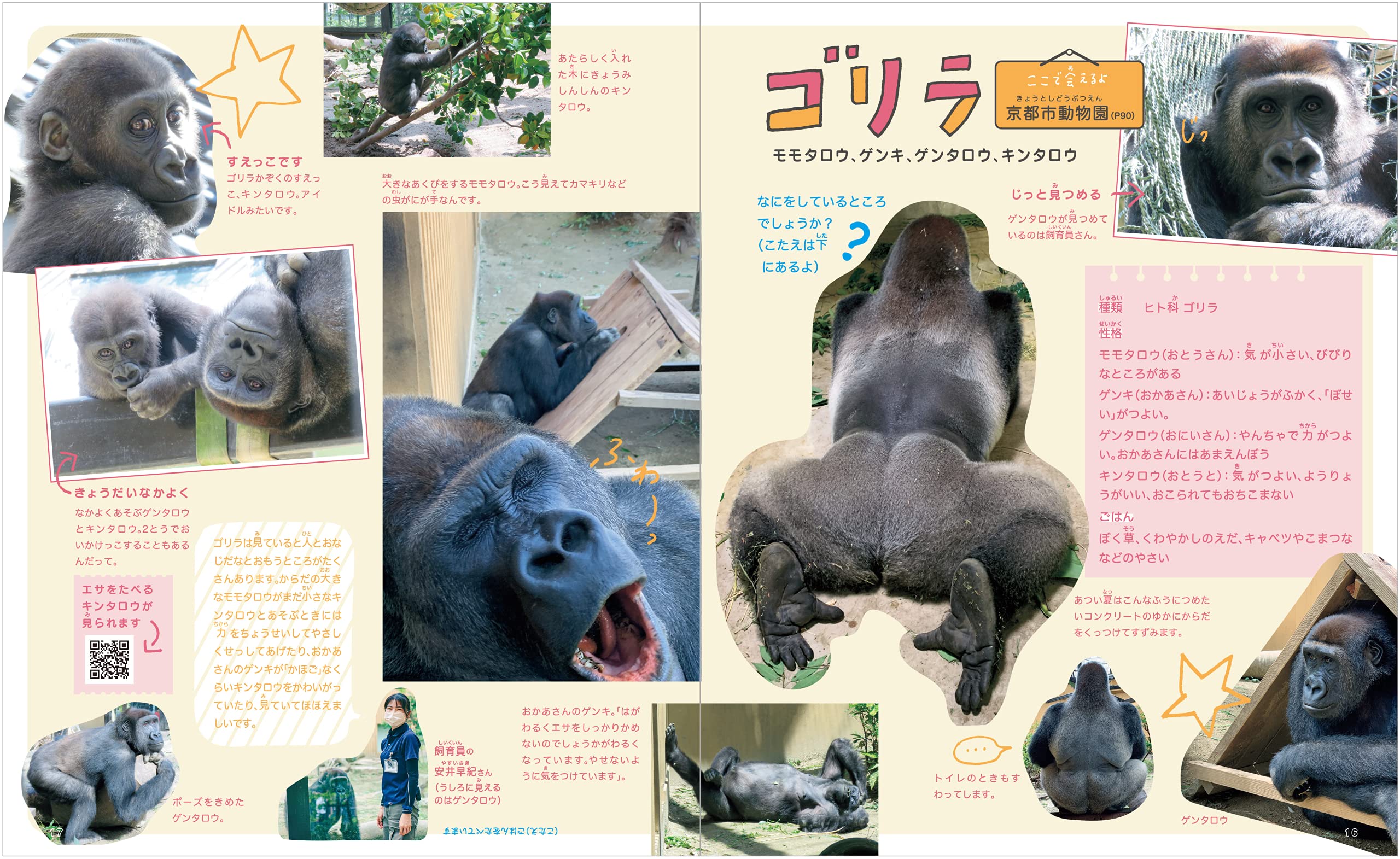 関西みんなの動物園と水族館 エルマガmook 京阪神エルマガジン社 本 通販 Amazon