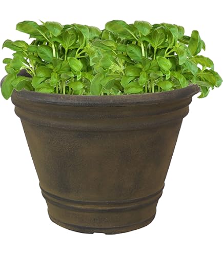 Amazon.com : Sunnydaze 13-Inch Laurel Large Plant Pot