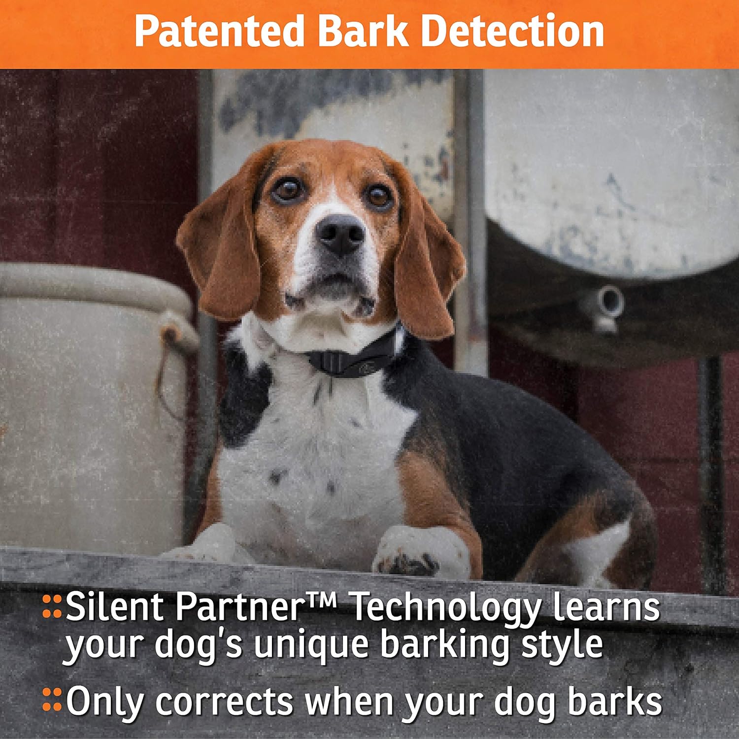 SportDOG Brand NoBark 10 Collar - Rechargeable, Programmable Bark Collar - Waterproof & Submersible, Black : Pet Supplies