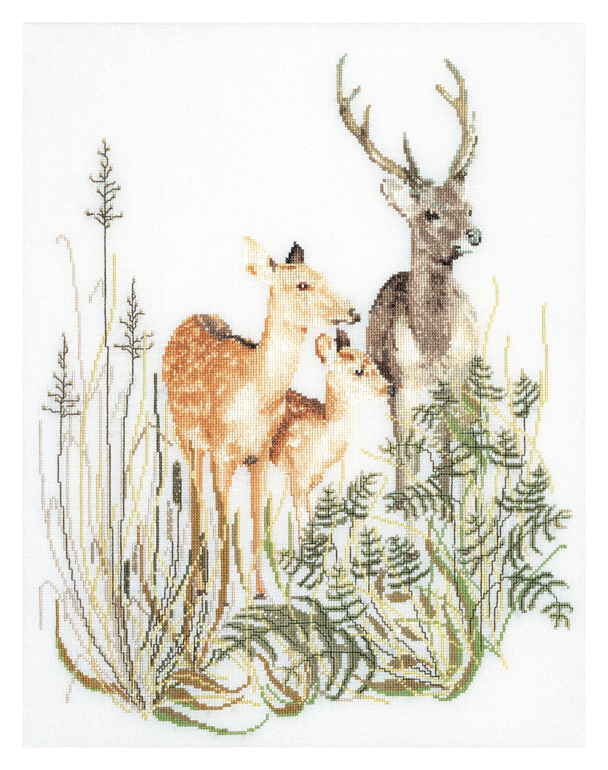 Thea Gouverneur - Counted Cross Stitch Kit - Deer Family - Aida - 16 Count - Embroidery Kit for Adults - DMC Embroidery Threads and Other Cross Stitch Supplies Included - 938A