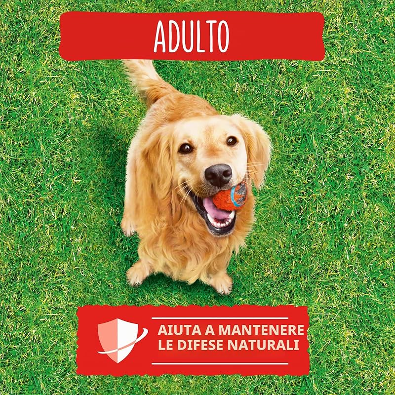 PURINA FRISKIES Crocchette Cane Adulto con Manzo, Cereali e Verdure Aggiunte, 15 kg