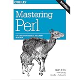 Mastering Perl: Creating Professional Programs with Perl