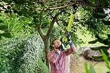 Ryobi OLP1832BX 18V ONE+ Cordless Bypass Lopper Body Only 0.75m view 5