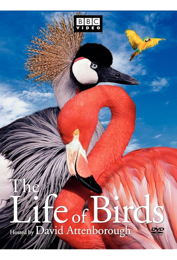 Life in the Undergrowth DVD 5枚セット Amazon.com: Life in the Undergrowth : Movies & TV