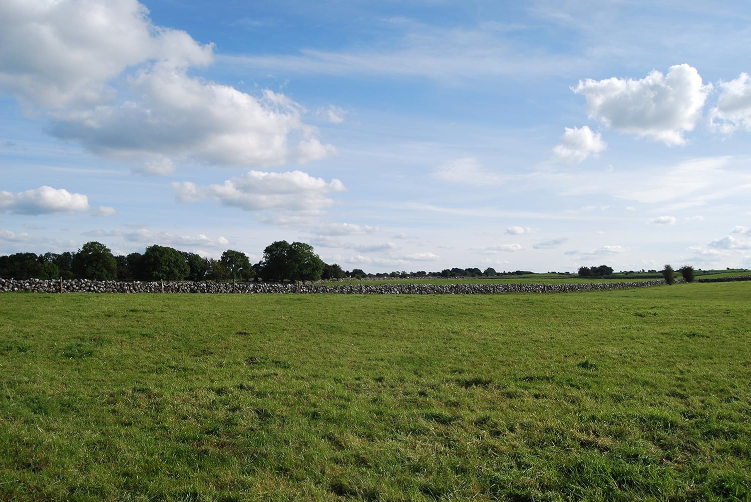 A Plot of Land in Ireland Own a Piece of the Beautiful