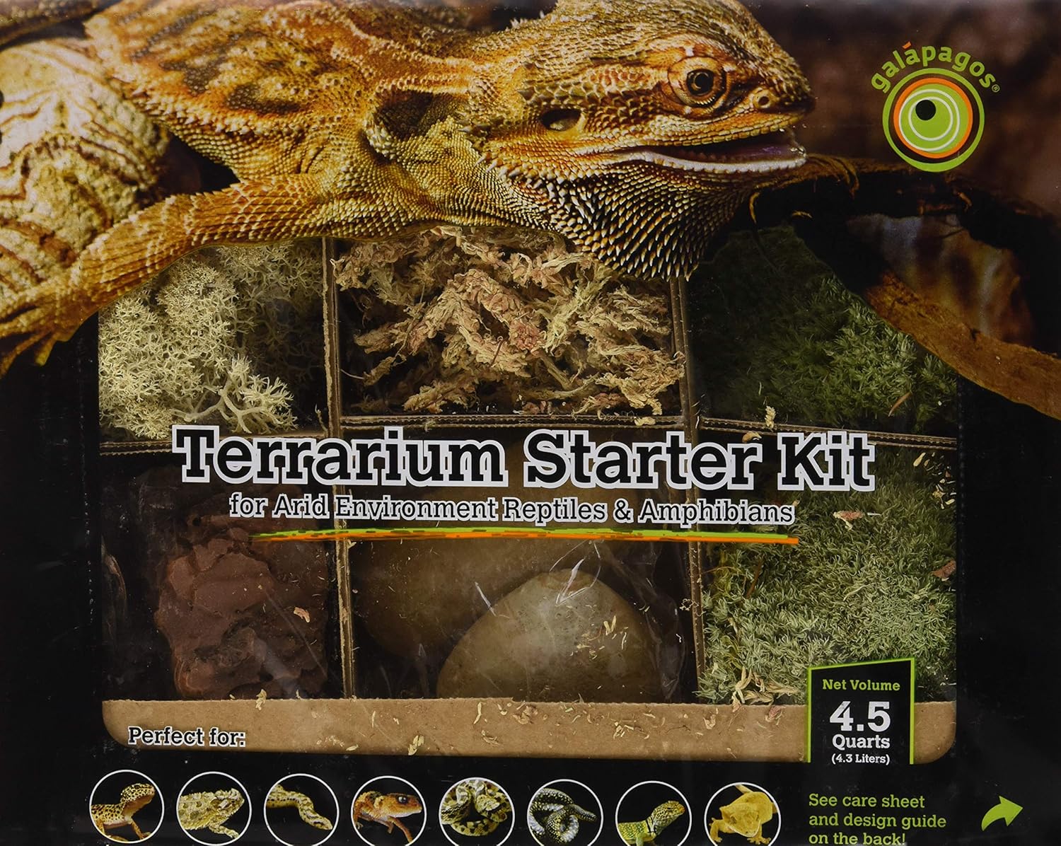 grreat choice terrarium starter kit