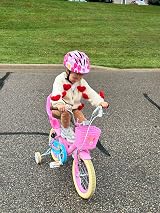 Glerc Maggie 12 Inch Kids Bike with Doll Seat Basket Stabilizers Pink view 8