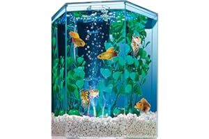 Tetra Aquarium Kit, 1 Gallon Hexagon Shaped Fish Tank, Includes LED Colour Changing Bubbling Effect (Packaging may vary)
