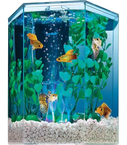 Amazon.com: Midwest Tropical Fountain Aqua - Kit de acuario