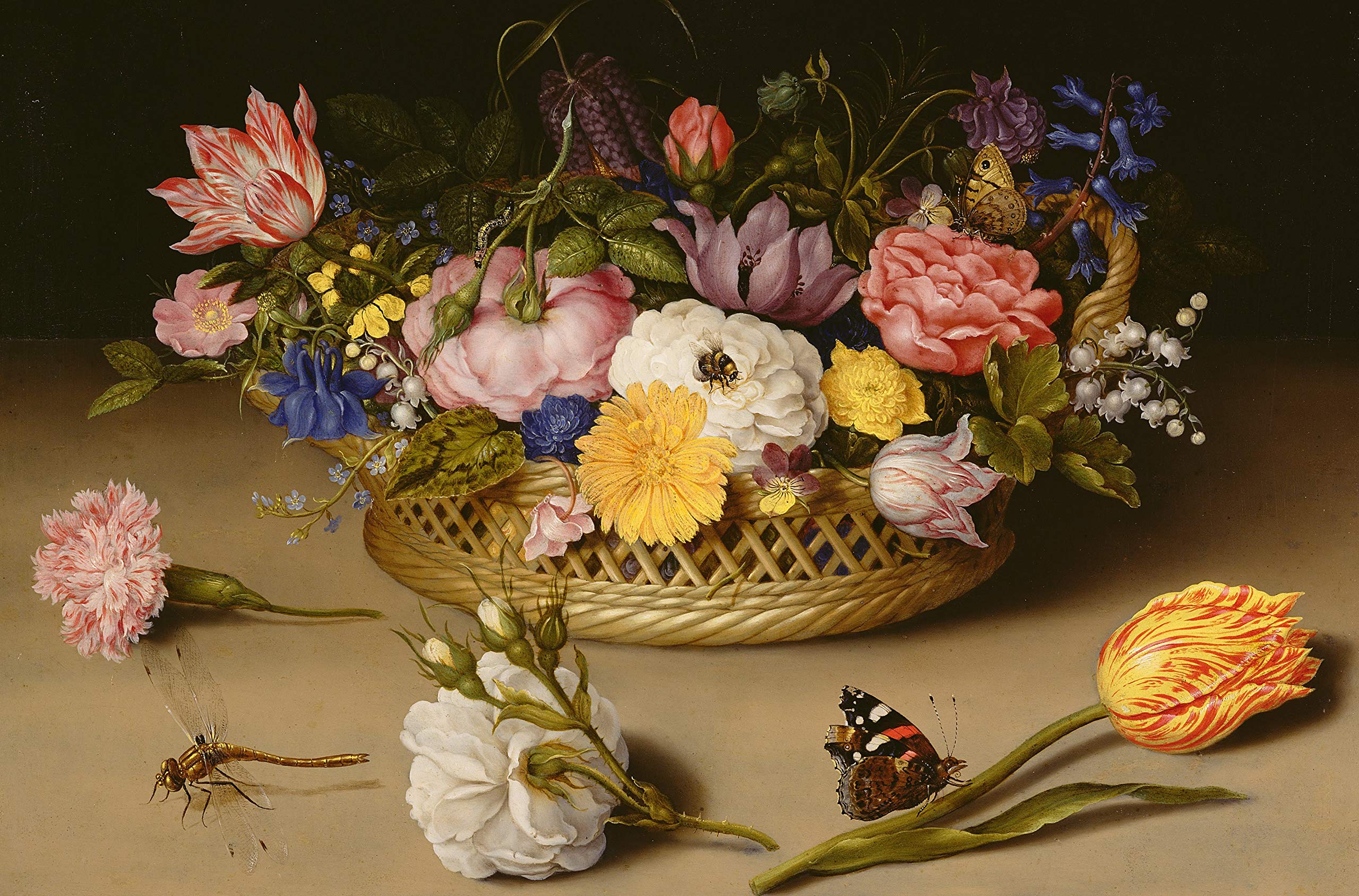 nautilus jigsaw puzzles