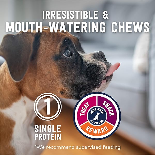 ZIWI DOG CHEWS AND TREATS – BEEF WEASAND – ALL NATURAL, AIR-DRIED, SINGLE PROTEIN, GRAIN-FREE, HIGH-VALUE TREAT, SNACK, REWARD 2.5 OUNCE (PACK OF 1)