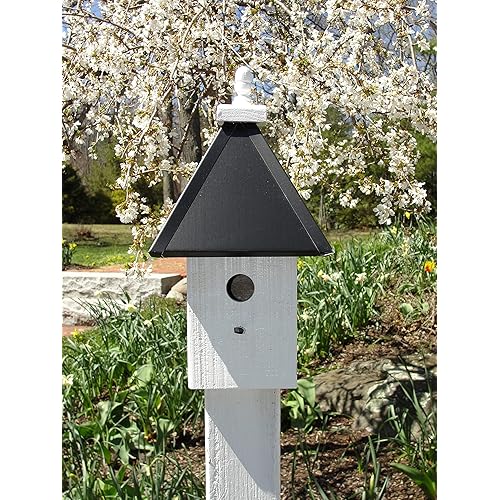 Pour Joy Wooden Bird House 1 Hole, Handmade in The USA, Weather Resistant.… (1 Hole Lightweight)