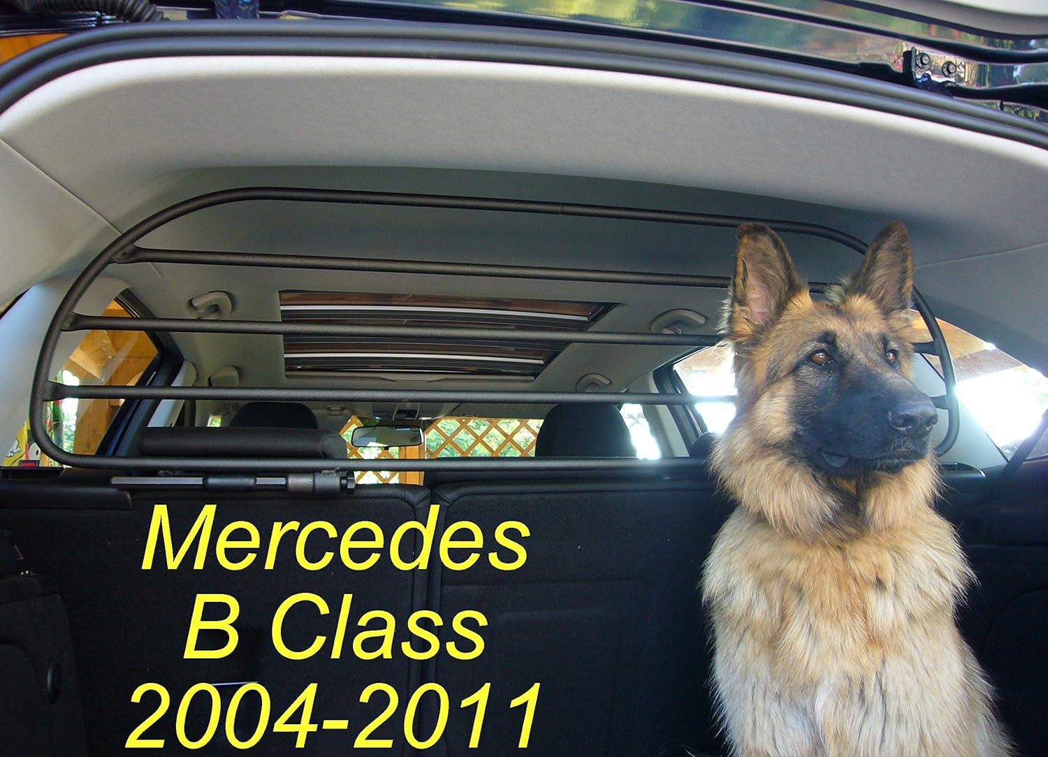 mercedes b class dog guard