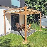 PURPLE LEAF 10' x 13' Outdoor Retractable Pergola