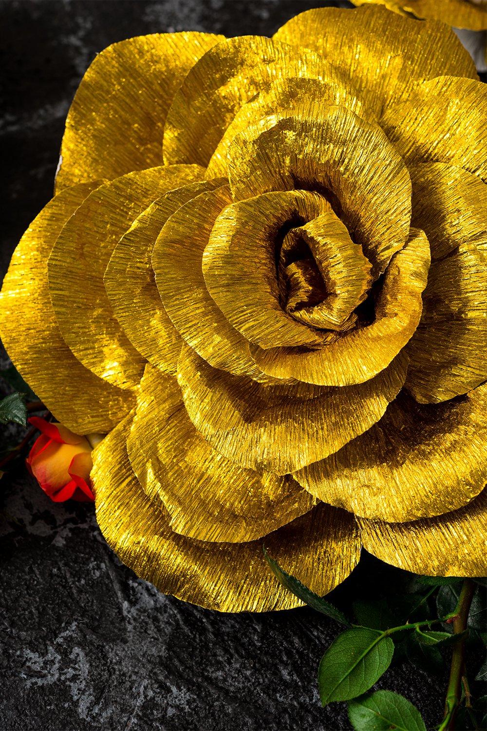 格安人気 ペーパーフラワー装飾ウェディング背景 ベビーシャワー 保育園壁の装飾 クレープ紙の花 手作り花shinyゴールドローズセット5 ガーデンパーティー写真ブース バレンタインの日 B078lttg5n 代引不可 Www Irispicture De