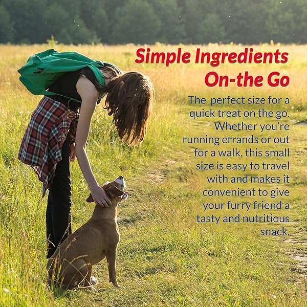 INABA CHURU MEAL TOPPER FOR DOGS, COMPLETE & BALANCED, CREAMY, LICKABLE PURÉE DOG FOOD TOPPERS, 1.69 OUNCE TUBE, 3 TUBES (3 PER PACK), CHICKEN WITH CHEESE RECIPE