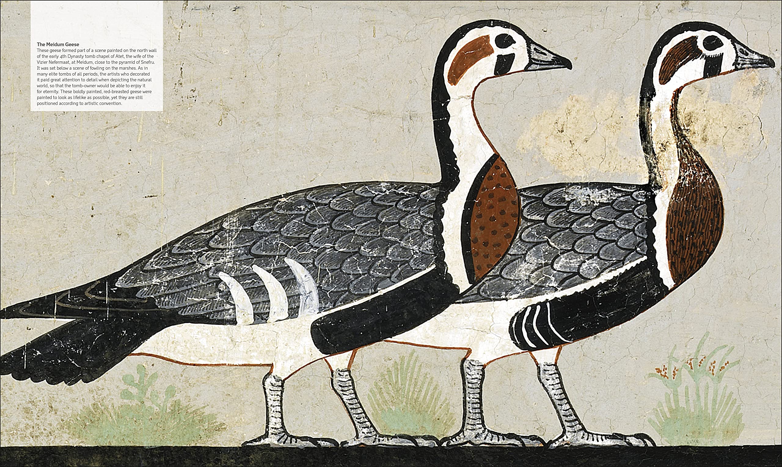 Ancient Egypt: The Definitive Visual History (DK Classic History) Ancient Egypt: The Definitive Visual History (DK Classic History) Hardcover Kindle