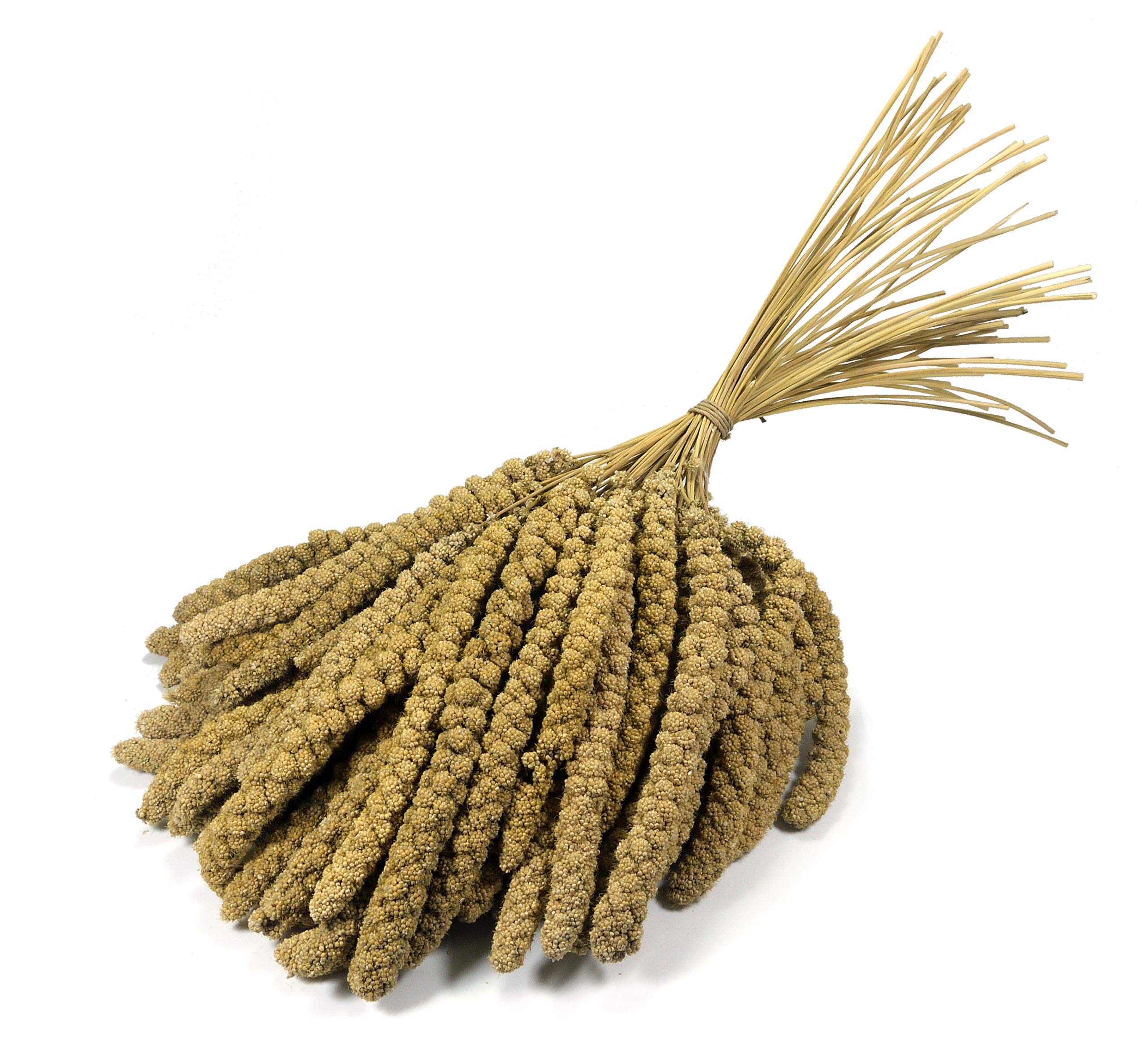 Britten & James Premium Quality Large 10 inch Millet Sprays for Birds. Approx. 1kg. Treat your birds to a healthy, stimulating, natural, low fat treat