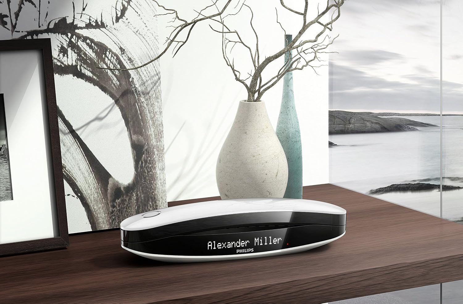 Haut Parleur ID Appelant Compatible Toutes Box FR Philips Luceo M6651WB 