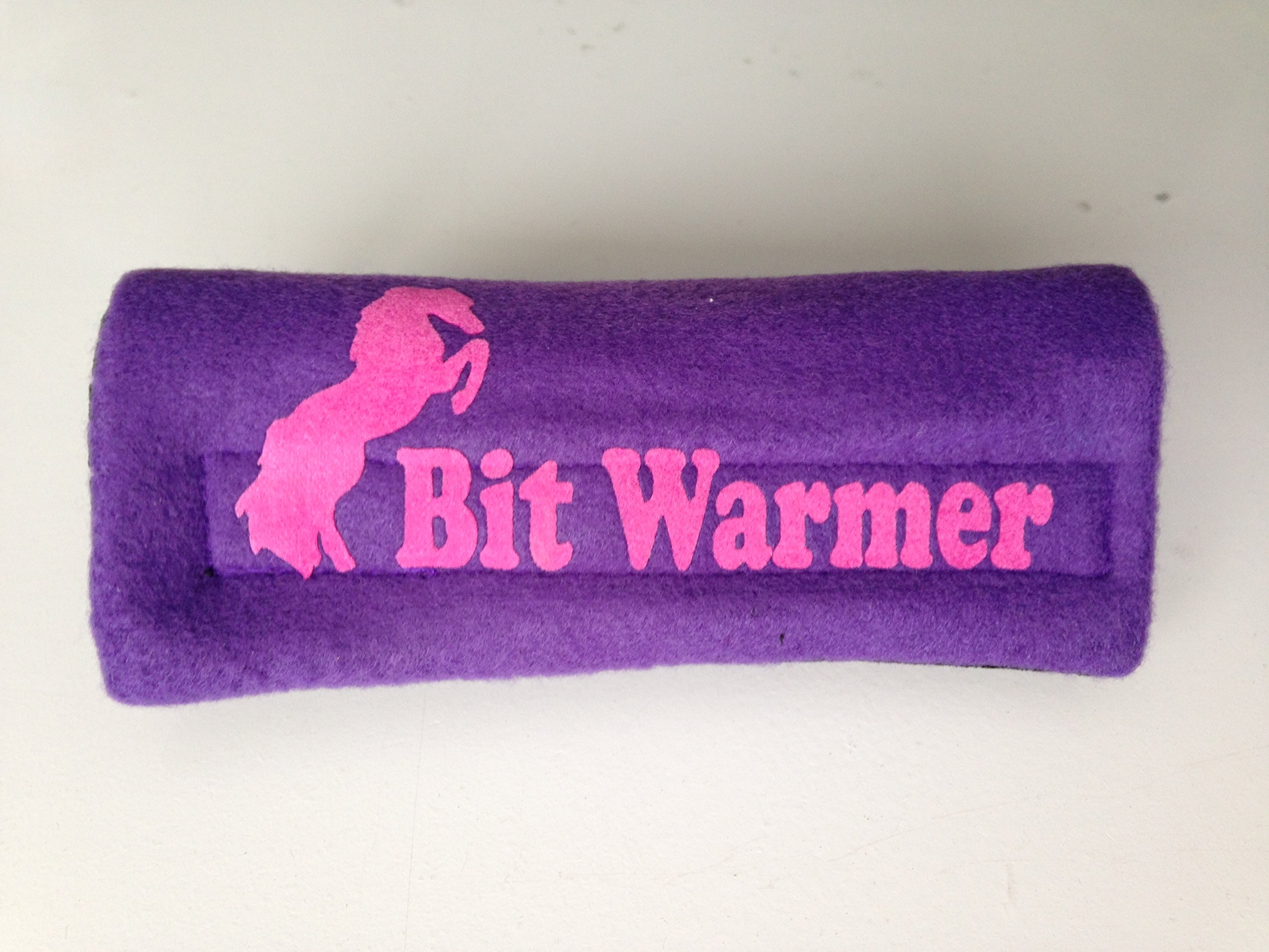 Bitwarmer, Bit Warmer