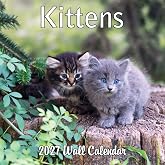 2027 Kittens Monthly Wall Calendar | Cute Cats Calendar 2026-2027