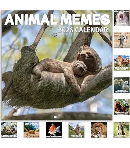 Calendrier Mural Pour Chien, Calendrier Lunaire 2024 Avec Chien Qui