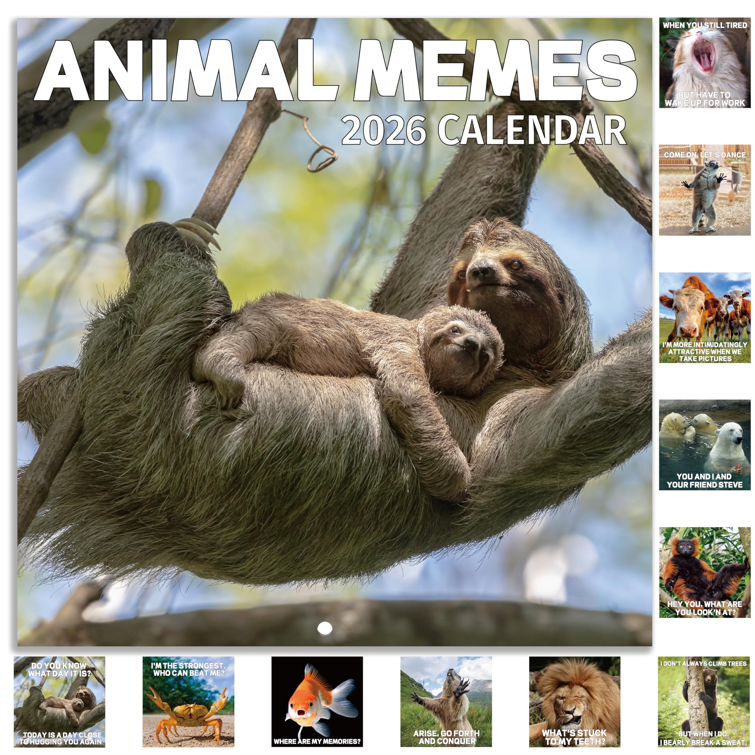 Photo 1 of 2026 Wall Calendar - 2026 Calendar Funny with Animal Memes, Jan. 2026 - Dec. 2026, 12" x 24" (Open), Animal Calendar for Kids/Teen, Unruled Blocks, Thick Paper
