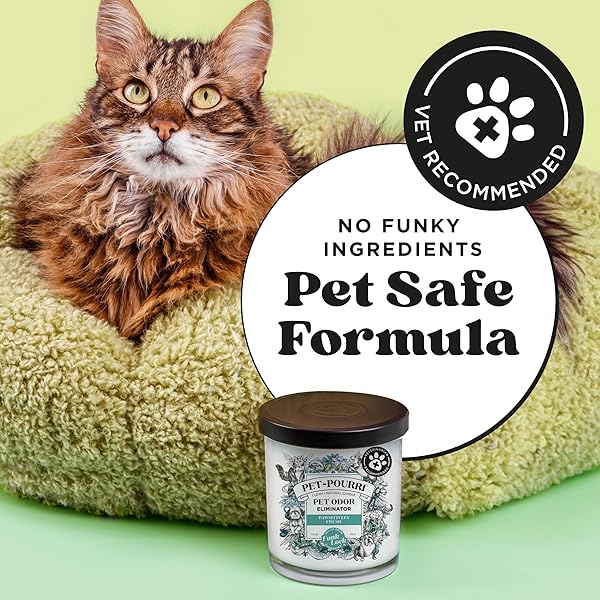 PET-POURRI PAWSITIVELY FRESH PET ODOR DEODORIZER CANDLE, BURNS UP TO 45 HOURS, AROMATHERAPY & AIR FRESHENER WITH ESSENTIAL OILS, PLANT BASED INGREDIENTS & WAX, VET APPROVED, JASMINE PEAR SCENT