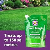 Flower Power Richard Jackson Premium Lawn Magic Liquid Lawn Feed 1.5L view 2
