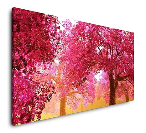 Paul Sinus Art Japanischer Garten 120x 60cm Panorama Leinwand Bild XXL Format Wandbilder Wohnzimmer Wohnung Deko Kunstdrucke