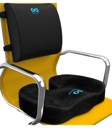 Amazon.com: Everlasting Comfort Lumbar Support & Gel Infused Seat