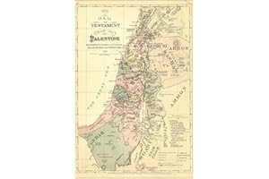 HISTORY GALORE 24"x36" Gallery Poster, old testament map palestine israel holy land 1881