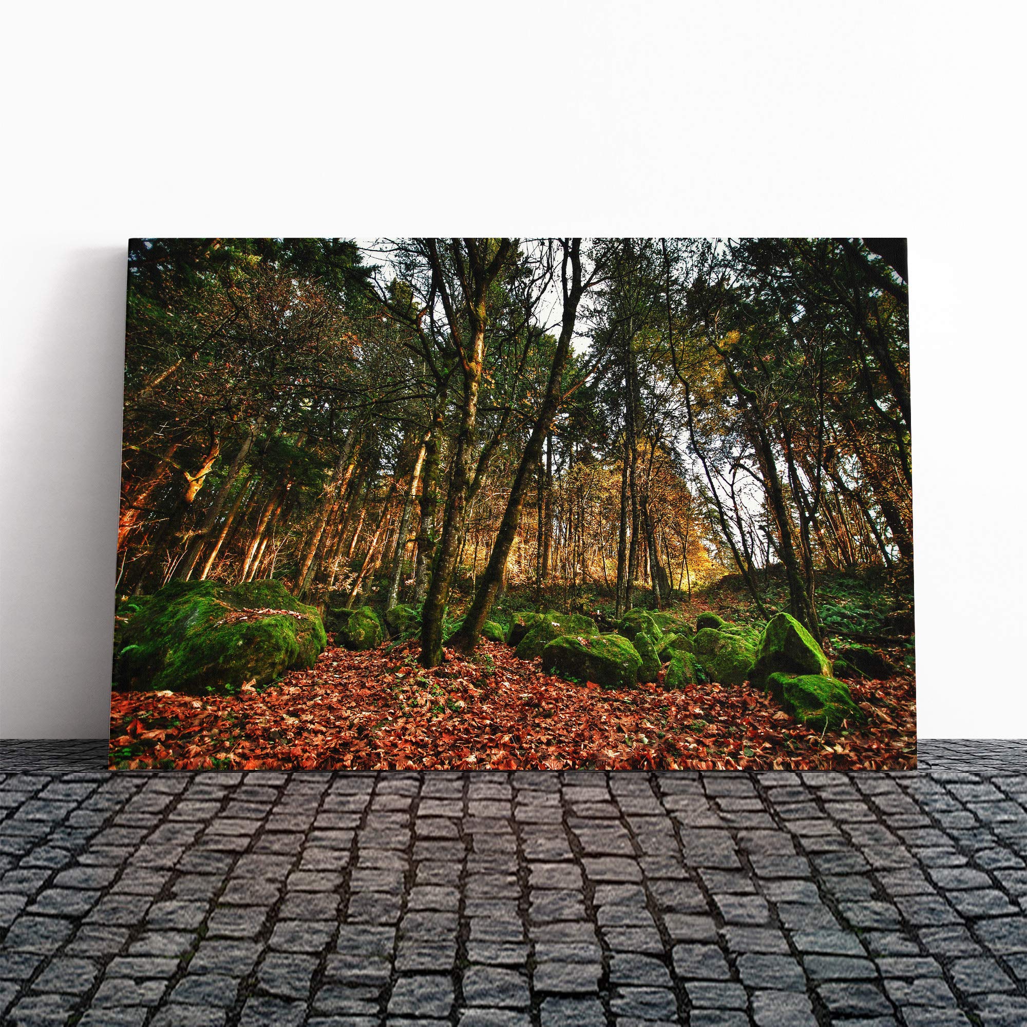 Landscape Portland Oregon Forest Wood USA Canvas Print | Gallery Wrapped 30mm Frame Wall Art | 20x14 inches | Ready to Hang | Modern Landscape Picture | Living Room Bedroom Lounge Office