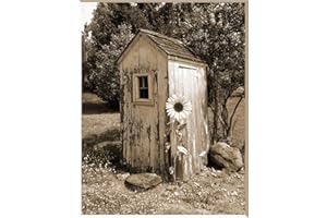 LITTLEPIECREATIONS Brown Beige Vintage Outhouse Bathroom Wall Art, Photography Art, Outhouse Sunflower Country Farmhouse Matted Wall Decor (Handmade) (Sepia)