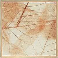 SIGNWIN Framed Canvas Wall Art Light Brown, Yellow Transparent Spring Leaves Botanical Plants Photography Minimalism Modern XRay Relax/Calm for Living Room, Bedroom, Office - 16x16 inches