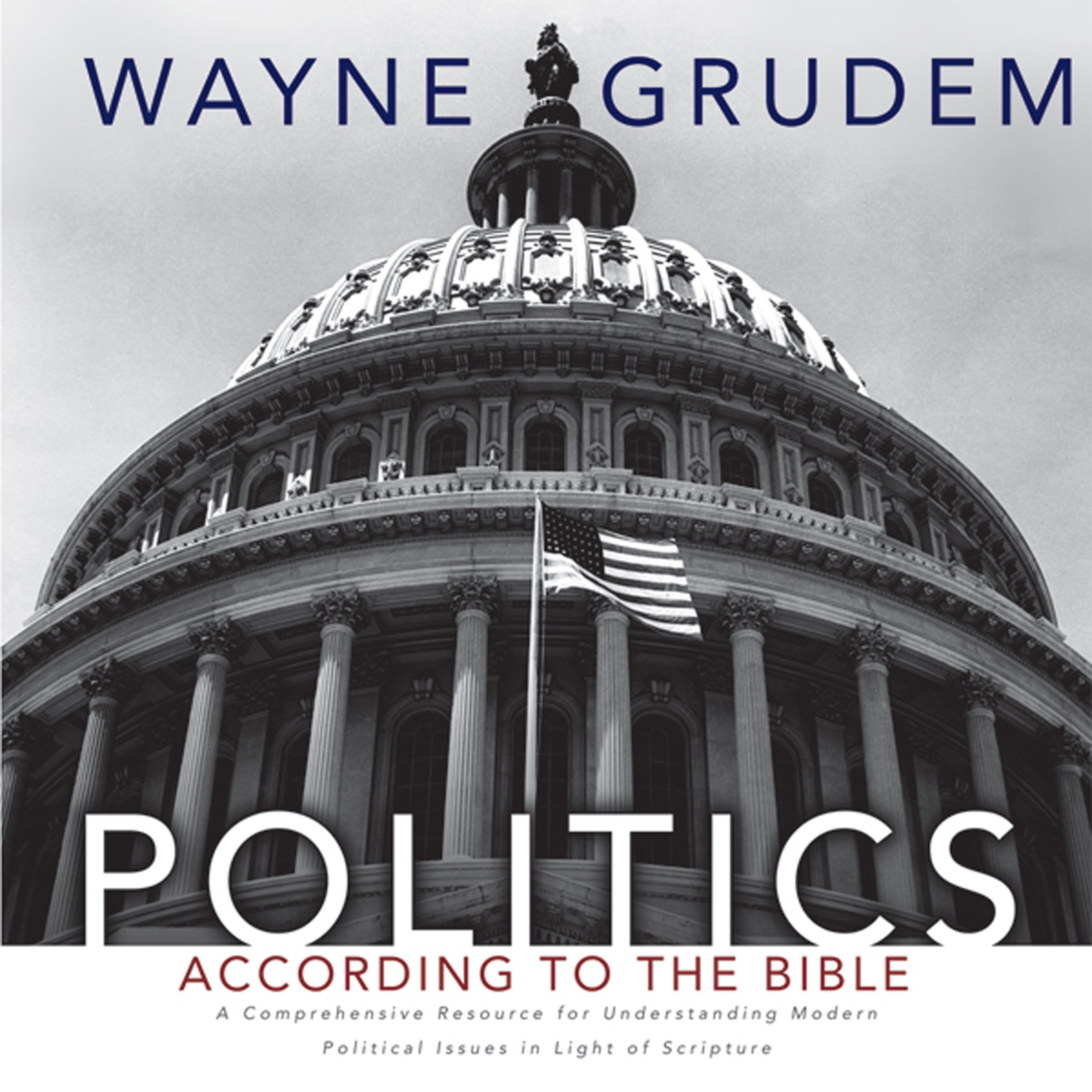 Politics - According to the Bible: A Comprehensive Resource for  Understanding Modern Political Issues in Light of Scripture in Kenya   Whizz Old Testament