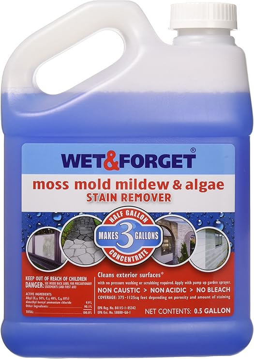 Amazon Com Wet And Forget 800003 Wet And Forget Moss Mold Mildew