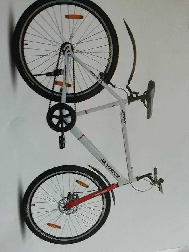 bicycle sky