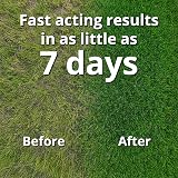 A1 Lawn Ultimate Autumn Winter Fertiliser 10kg - High Potassium NPK 6-5-10 view 3