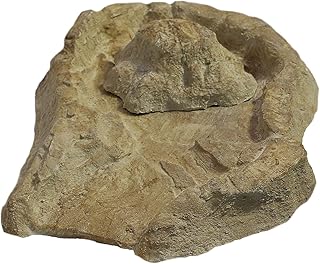 Wasserkaskaden Quellschale EDER Quelle mit Spritzschutz, Beige/Braun, 53 x 40 x 8 cm