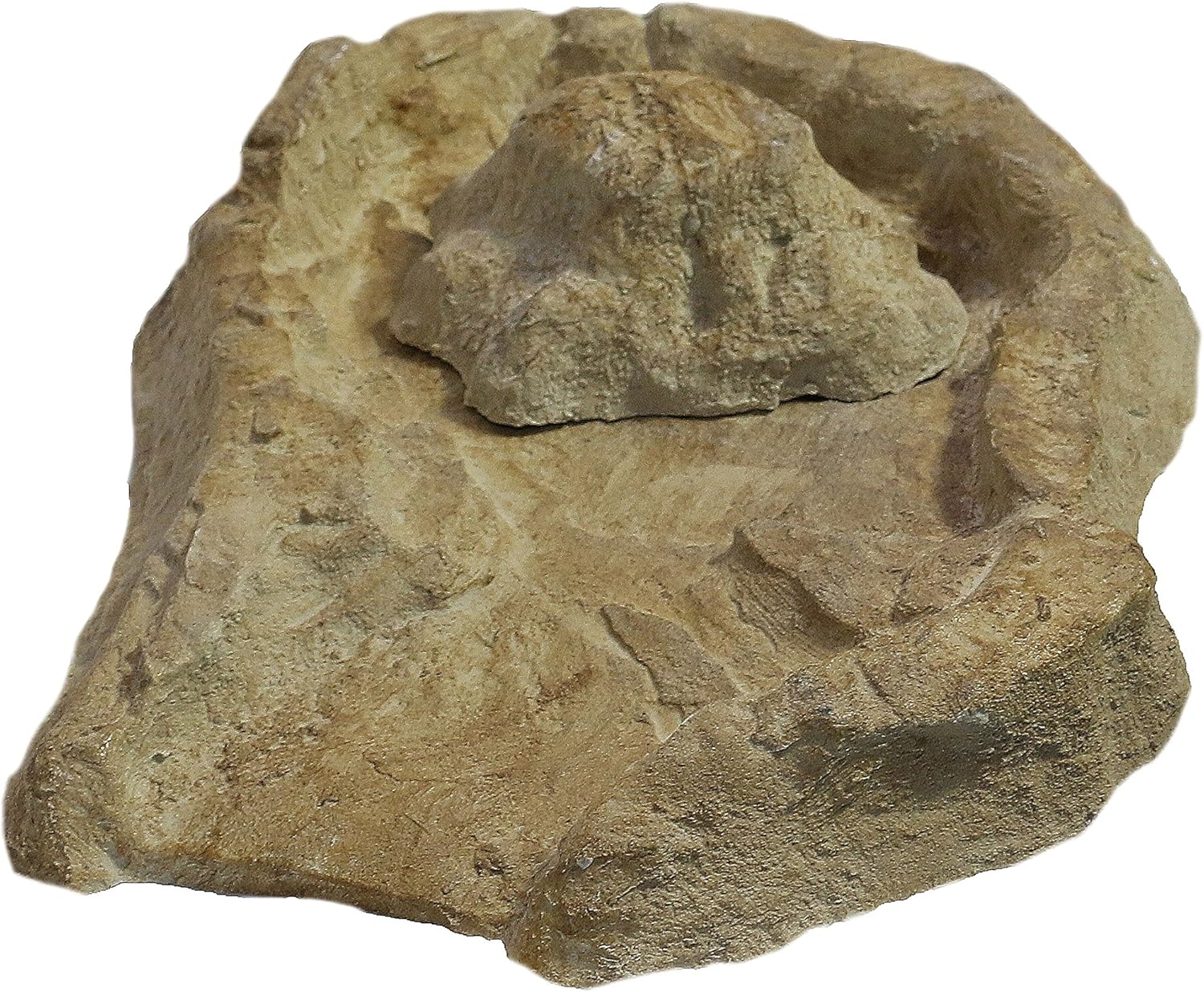 Wasserkaskaden Quellschale EDER Quelle mit Spritzschutz, Beige/Braun, 53 x 40 x 8 cm