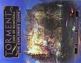 Torment Tides of Numenera The Explorer